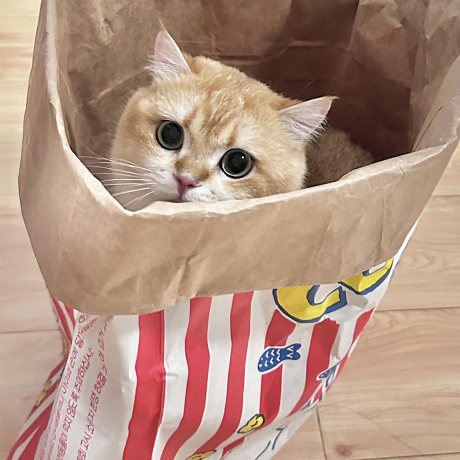 Crinkle Cat Bag Foldable Inter - огляд і ціна Furniture Hardware For Bed